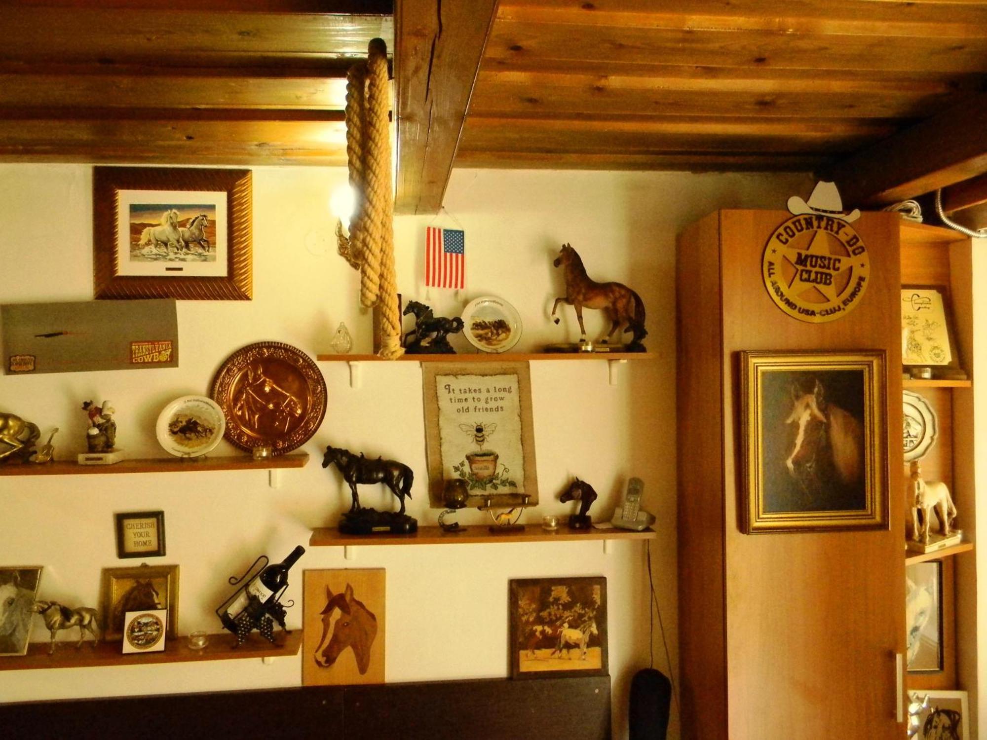 Transylvania Cowboy Cottage Cluj-Napoca Exterior foto