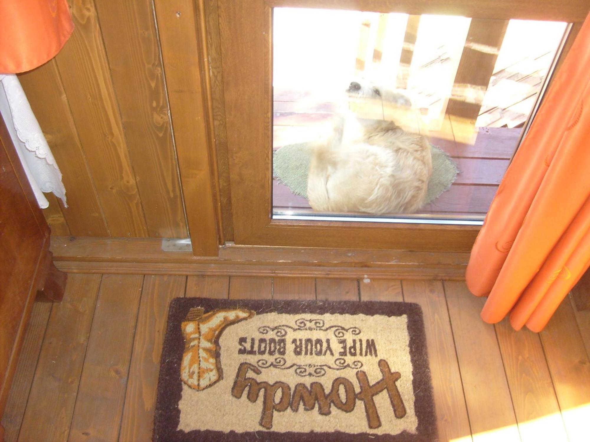Transylvania Cowboy Cottage Cluj-Napoca Exterior foto